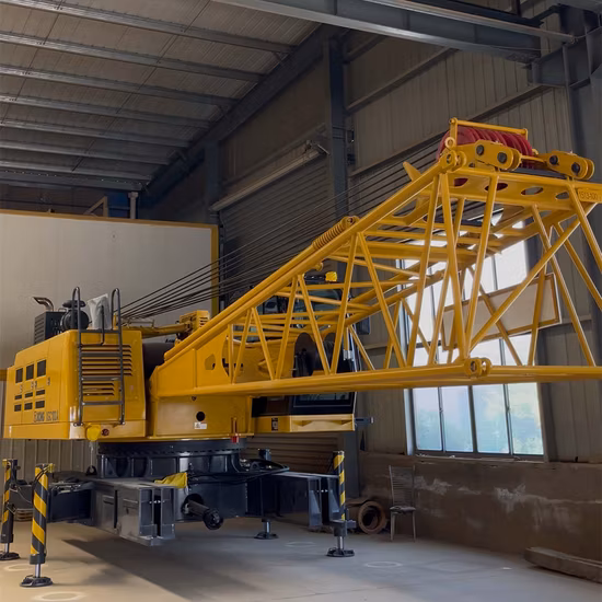 Utilisation de la marque chinoise Zoomlionn Qy25V Camion Grue N Boom De Cinco Secciones 25 tonnes Grue Hidrá Ulica PARA Camion N Con Grú a